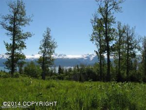 L3A Maria Road, Homer, AK 99603