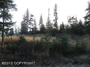 1233 EAGLE VIEW Drive, Homer, AK 99603