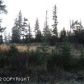 1233 EAGLE VIEW Drive, Homer, AK 99603 ID:9456949