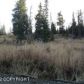 1233 EAGLE VIEW Drive, Homer, AK 99603 ID:9456950