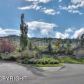 16641 Southcliff Circle, Anchorage, AK 99516 ID:9482410