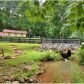 3264 Hwy 9  South, Dawsonville, GA 30534 ID:9580181