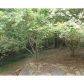 490 Golden Avenue, Dahlonega, GA 30533 ID:9364653