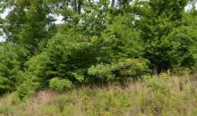 LOT 70 HICKORY POINTE Maynardville, TN 37807