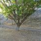 19819 Steinway Street, Canyon Country, CA 91351 ID:9722581