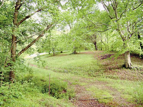 Highway 310, Etowah, TN 37331
