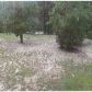 1612 Baughman Rd, Lugoff, SC 29078 ID:9752307