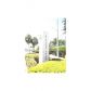 1630 CLEVELAND RD, Miami Beach, FL 33141 ID:9684920