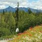 7730 E Woodview Way, Palmer, AK 99645 ID:9761389