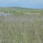 795 S Ashley Road, Big Lake, AK 99652 ID:9491750