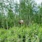 2728 S Walnut Wood Drive, Big Lake, AK 99652 ID:9541425