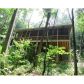 131 Frosty Mountain, Ellijay, GA 30536 ID:9641077