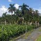 23250 SW 187 AV, Homestead, FL 33031 ID:9873091