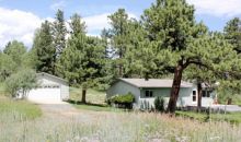 91 Forsythe Trail Nederland, CO 80466