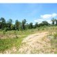 187 Old Jones Mountain, Talking Rock, GA 30175 ID:9893176