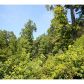 187 Old Jones Mountain, Talking Rock, GA 30175 ID:9893177