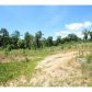 187 Old Jones Mountain, Talking Rock, GA 30175 ID:9895609