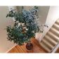 Unit 677 - 677 Highland Court, Marietta, GA 30068 ID:9898848