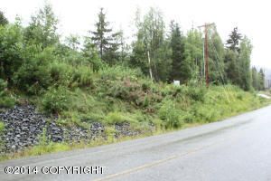 Lot 43 Crow Creek Road, Girdwood, AK 99587