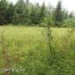 Lot 43 Crow Creek Road, Girdwood, AK 99587 ID:9909766