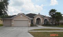 5408 Garden Arbor Dr Lutz, FL 33558