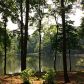 341 Herron Cove Sw, Atlanta, GA 30349 ID:9845960