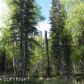 268 W Sunflower Drive, Wasilla, AK 99654 ID:8533816