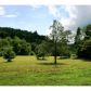 42 Youngstone Drive, Mineral Bluff, GA 30559 ID:9971066