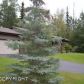 1001 Pullman, Wasilla, AK 99654 ID:9860271