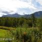 6751 N Dewachen Circle, Palmer, AK 99645 ID:10018775