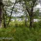 6751 N Dewachen Circle, Palmer, AK 99645 ID:10018777