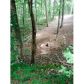 8 Hickory Nut Trail, Dawsonville, GA 30534 ID:9887588