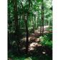 8 Hickory Nut Trail, Dawsonville, GA 30534 ID:9878455