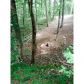 8 Hickory Nut Trail, Dawsonville, GA 30534 ID:9878456