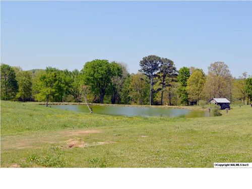 535 Lottie Martin Road, Albertville, AL 35951