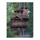 6647 Trailside Drive, Flowery Branch, GA 30542 ID:9610259