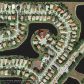 5851 AMETHYST CT, Boynton Beach, FL 33472 ID:9970544