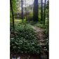 4910 Framons Court, Atlanta, GA 30338 ID:9846347