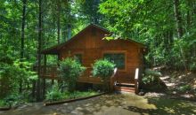 987 Cherry Lake Drive Cherrylog, GA 30522