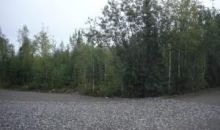 1134 S Horseshoe Lake Place Big Lake, AK 99652