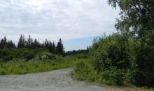 235 Meadow Court Homer, AK 99603