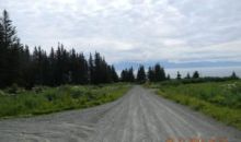 210 Meadow Court Homer, AK 99603