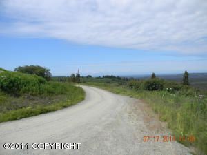 Tr. 1 Diamond Ridge Road, Homer, AK 99603