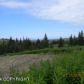 Tr. 1 Diamond Ridge Road, Homer, AK 99603 ID:10139318