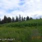 Tr. 1 Diamond Ridge Road, Homer, AK 99603 ID:10139320