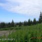 Tr. 1 Diamond Ridge Road, Homer, AK 99603 ID:10139321