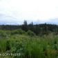 195 Whisper Court, Homer, AK 99603 ID:10139331