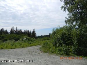 235 Meadow Court, Homer, AK 99603