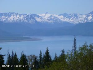 36353 Wild Haven Road, Homer, AK 99603