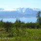 36353 Wild Haven Road, Homer, AK 99603 ID:10139279